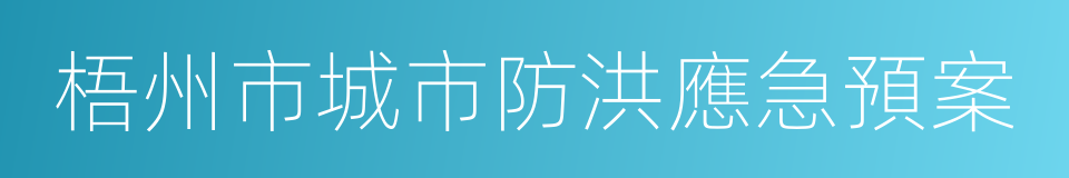 梧州市城市防洪應急預案的同義詞