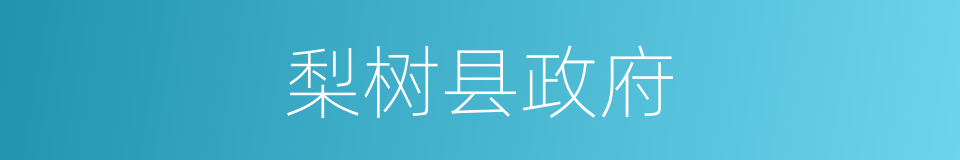 梨树县政府的同义词