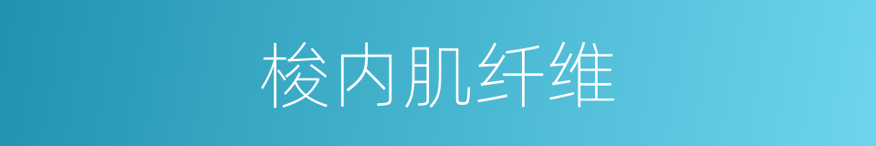 梭内肌纤维的同义词