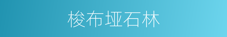 梭布垭石林的同义词