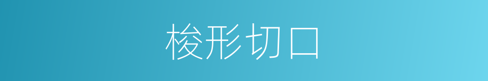 梭形切口的同义词