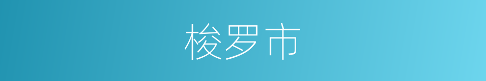 梭罗市的同义词