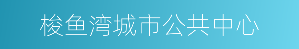 梭鱼湾城市公共中心的同义词