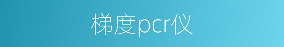 梯度pcr仪的同义词