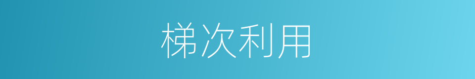 梯次利用的同义词