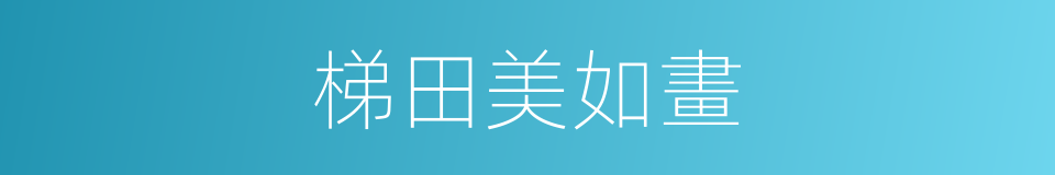 梯田美如畫的同義詞