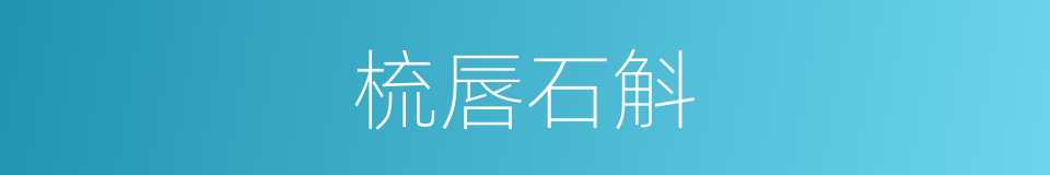 梳唇石斛的同义词