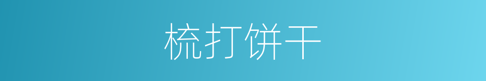 梳打饼干的同义词