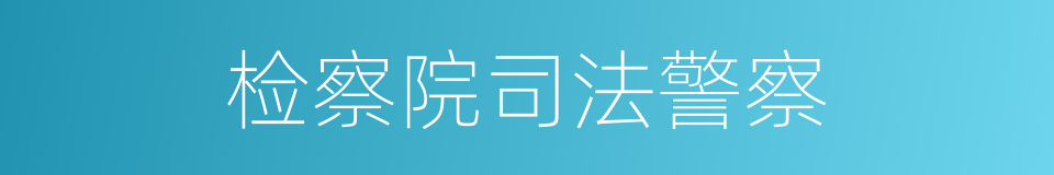 检察院司法警察的同义词