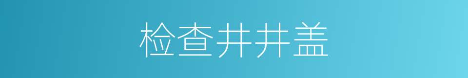 检查井井盖的同义词