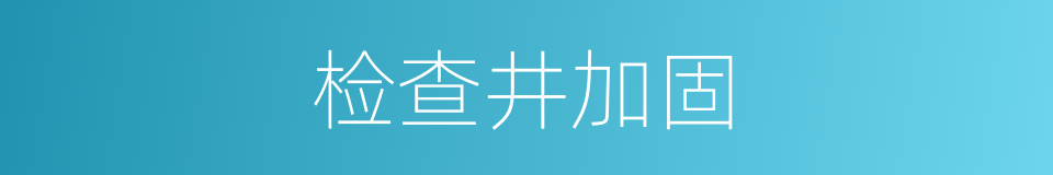 检查井加固的同义词