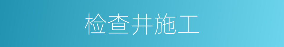 检查井施工的同义词