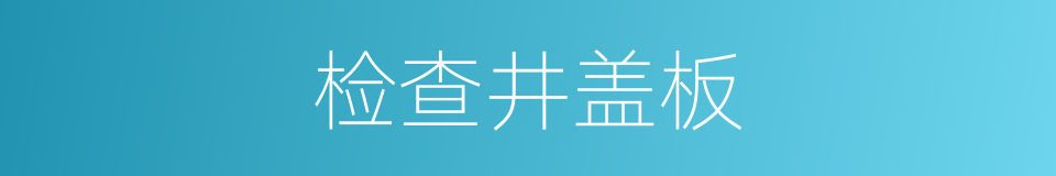 检查井盖板的同义词