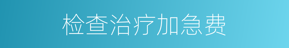检查治疗加急费的同义词
