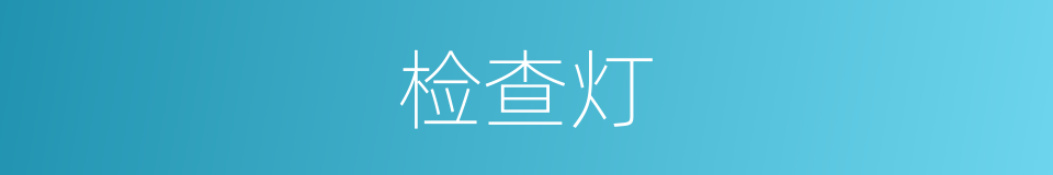 检查灯的同义词