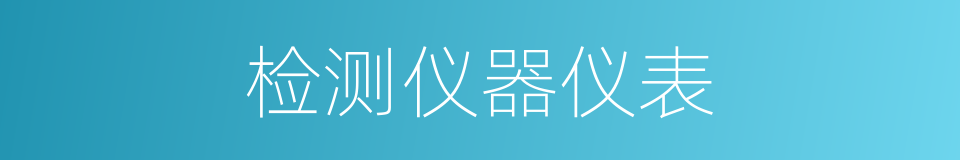 检测仪器仪表的同义词