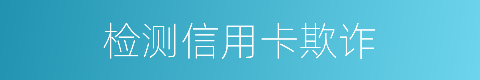 检测信用卡欺诈的同义词