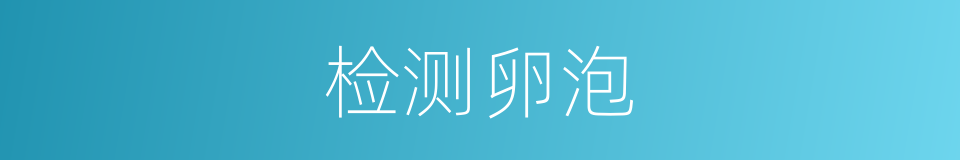 检测卵泡的同义词