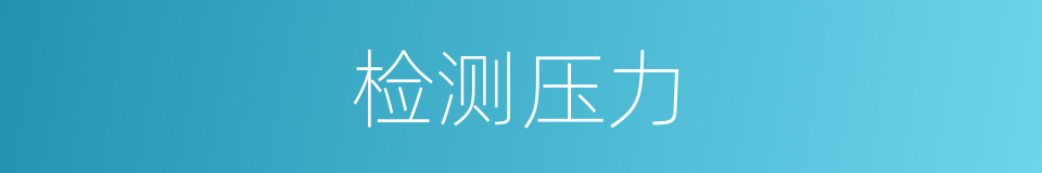 检测压力的同义词
