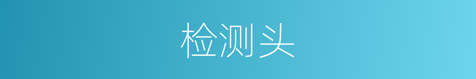 检测头的意思