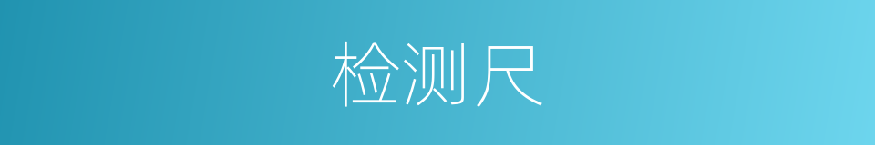 检测尺的同义词