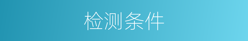 检测条件的意思