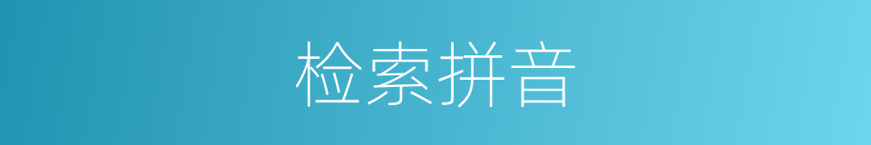 检索拼音的意思