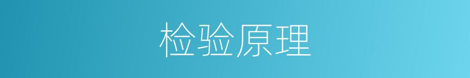 检验原理的同义词