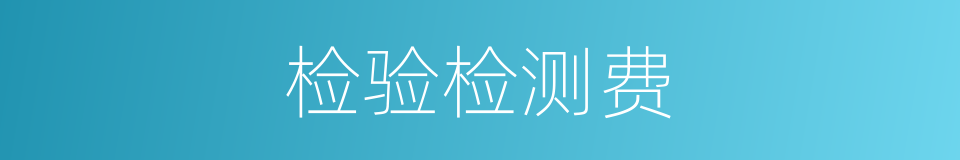 检验检测费的同义词