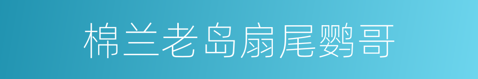 棉兰老岛扇尾鹦哥的同义词