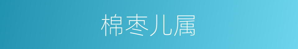 棉枣儿属的同义词
