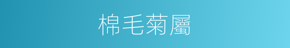 棉毛菊屬的同義詞