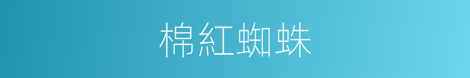 棉紅蜘蛛的意思