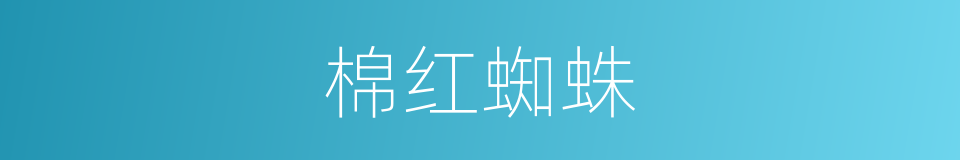 棉红蜘蛛的意思