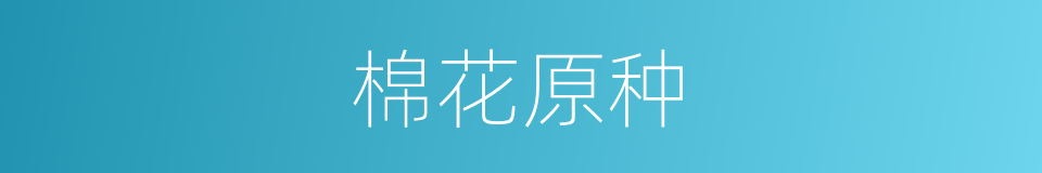 棉花原种的同义词