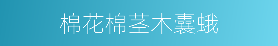棉花棉茎木囊蛾的同义词