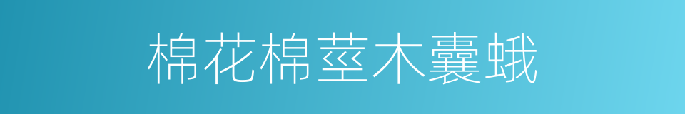 棉花棉莖木囊蛾的同義詞