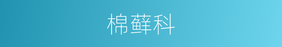 棉藓科的同义词