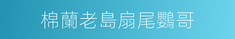 棉蘭老島扇尾鸚哥的同義詞