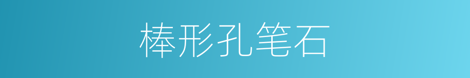 棒形孔笔石的同义词