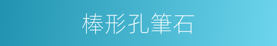 棒形孔筆石的同義詞