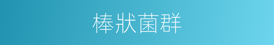 棒狀菌群的同義詞