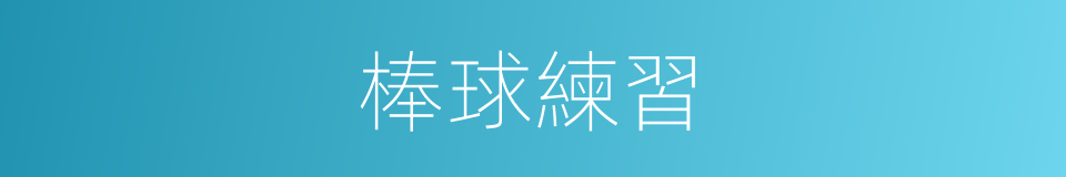 棒球練習的同義詞