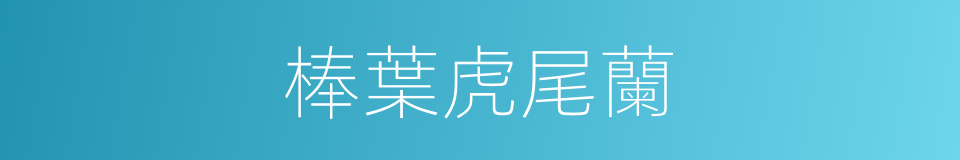 棒葉虎尾蘭的同義詞