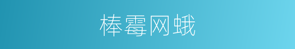 棒霉网蛾的同义词