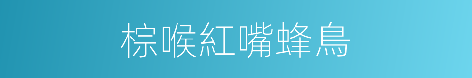棕喉紅嘴蜂鳥的同義詞