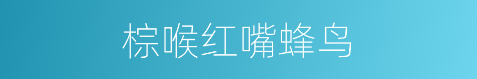 棕喉红嘴蜂鸟的同义词