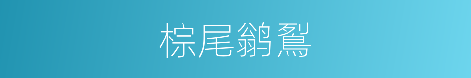 棕尾鹟鴷的同义词