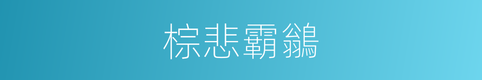 棕悲霸鶲的同義詞