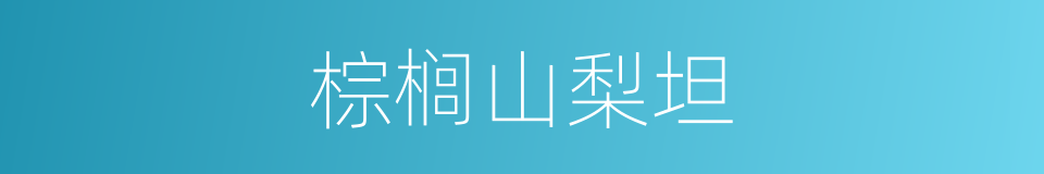 棕榈山梨坦的同义词